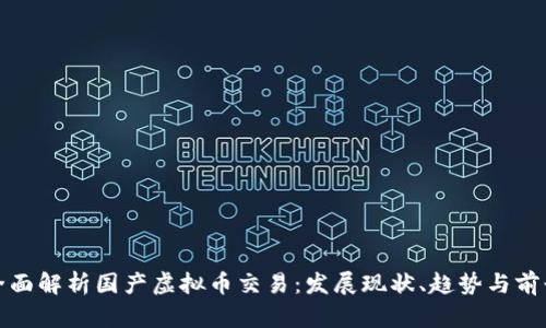 全面解析国产虚拟币交易：发展现状、趋势与前景