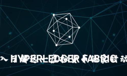 FIL币：深入了解这一虚拟货币的实时动态与应用