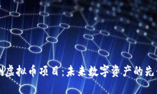 内测虚拟币项目：未来数字资产的先行者