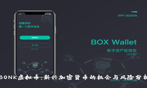 BONK虚拟币：新兴加密货币的机会与风险分析