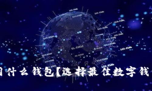 虚拟币充值用什么钱包？选择最佳数字钱包的全面指南