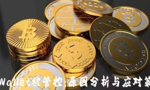 
TPWallet被管控：原因分析与应对策略