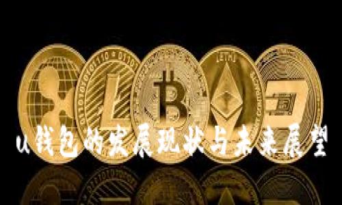 u钱包的发展现状与未来展望