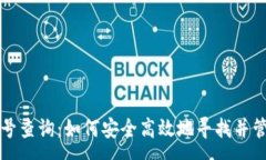 :全面解析虚拟币号查询：如何安全高