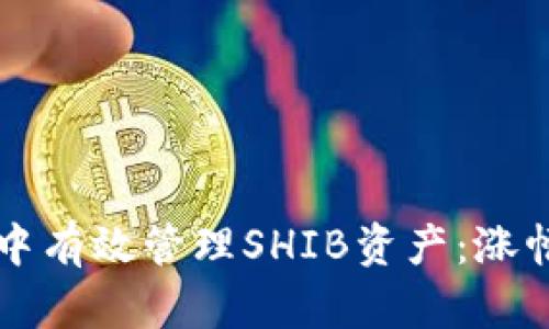 如何在TPWallet中有效管理SHIB资产：涨幅现状与投资策略