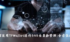 如何使用TPWallet进行BNB交易和管理：全