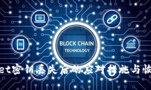 tpwallet密钥丢失后的应对措施与恢复方法