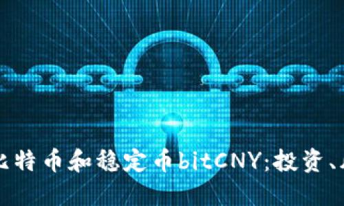 深入探索比特币和稳定币bitCNY：投资、风险与未来