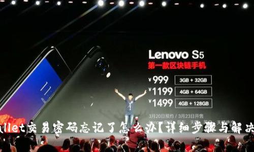 tpwallet交易密码忘记了怎么办？详细步骤与解决方案