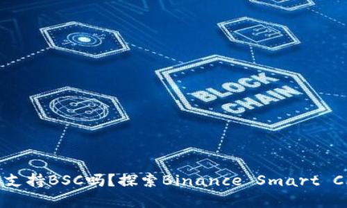 TP桌面版钱包支持BSC吗？探索Binance Smart Chain的兼容性
