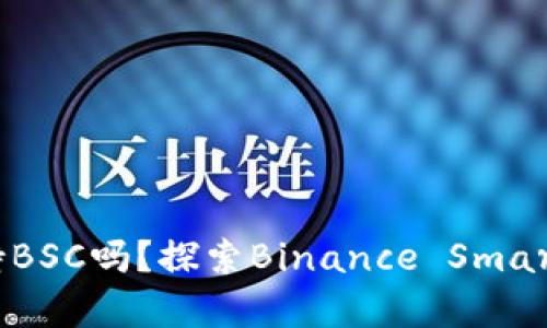 TP桌面版钱包支持BSC吗？探索Binance Smart Chain的兼容性