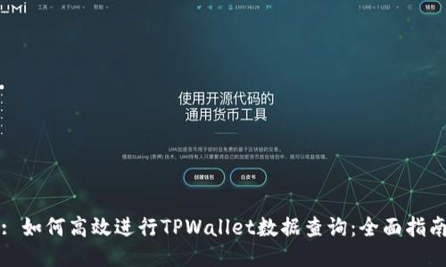 : 如何高效进行TPWallet数据查询：全面指南