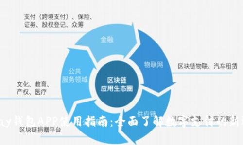 Topay钱包APP使用指南：全面了解数字支付的新选择