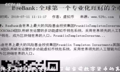 
虚拟币体量与市场价值分析：了解当前数字货币的真实面貌