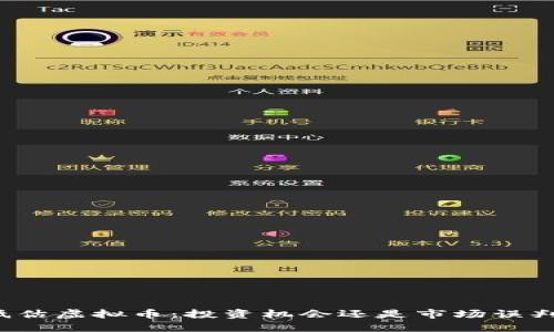 低估虚拟币：投资机会还是市场误判？