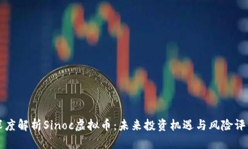 深度解析Sinoc虚拟币：未来投资机遇与风险评估