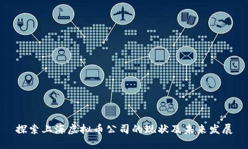 探索上海虚拟币公司的现状及未来发展