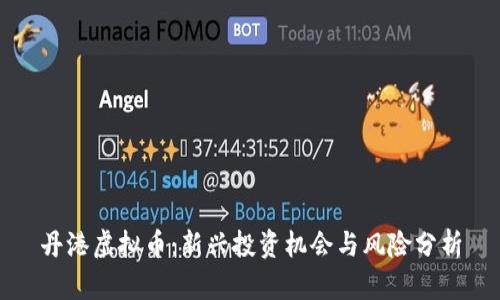 丹港虚拟币：新兴投资机会与风险分析