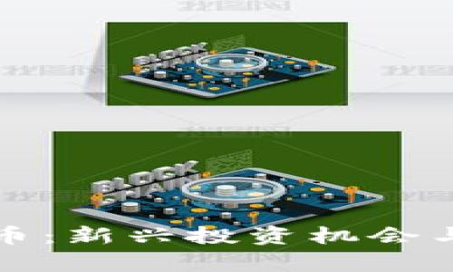 丹港虚拟币：新兴投资机会与风险分析